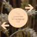 Pure Wheatgerm Oil 200ml - Cold Pressed Triticum Vulgare | Premium Natural Skincare Oil for Healthy Skin & Hair - Buy Online on GoSupps.com