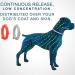 Buy Syang Teck Neck Band for Dogs & Cats - 2 Anti-Parasite Collars 8-Month Protection Adjustable Fluorescent Red & Gray - Buy Online on GoSupps.com
