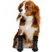 ALLY-MAGIC Anti Slip Dog Socks 2 Pairs Dog Paw Protector Dog Boots with Adjustable Straps Dog Grip Socks Traction Control for Small Dogs Indoor & Outdoor Hardwood Floor Walking Y7FHGW (S) - Buy Online on GoSupps.com
