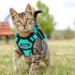 Breakproof Cat Dishes with Adjustable Vest Set for Small Kittens - Reflective Stripes - Green XXS - Buy Online on GoSupps.com