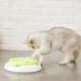 Pettom Interactive Cat Toy | Electric Butterfly Funny Exercise Toy for Kittens | Rotating Pop N Play Toy with Replacement Feathers | Green - Buy Online on GoSupps.com