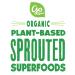 Go Raw Apricot Flaxseed Seed Bars - Organic, Vegan, Gluten-Free Snacks (30 Large Bars) - Buy Online on GoSupps.com