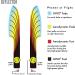 MVP Disc Sports Proton Deflector Disc Golf Midrange (175-180g) | Colors Vary - Buy Online on GoSupps.com
