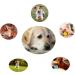 Jodsen 3 Pieces Dog Toy Ball 4.8cm Treat Dispenser Ball Toy Interactive Enricht Dog Toys for Boredom Small Dog Puzzle Toy Teeth Cleaning Chew Toy Exercise Game IQ Training Ball for Puppy Cat - Buy Online on GoSupps.com