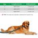 Etaccu 3m Double Linen Free-Handed Practice Line - Non-Slip Handle for Medium to Large Dogs up to 50kg - Reflective Blue - Buy Online on GoSupps.com
