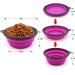 Slson 2 Pack Foldable Travel Dog Bowl - Safe & Portable Pet Bowl with Carabiners | Perfect for Cats & Dogs - 350ml - Purple & Green - Buy Online on GoSupps.com