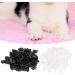 Biitfuu 100pcs Cat Claw Caps | Soft Claw Covers & Protectors | Adhesive Claws | International Shipping - Buy Online on GoSupps.com