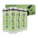 HOLOS Kombucha Soda - Apple & Elderflower - 250ml x 12 cans - No Sugar Live Cultures Vegan Gluten Free