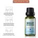 Buy Routinfly Breast Cream & Essential Oil | Natural Breast & Buttocks Enlargement - 20ml - Buy Online on GoSupps.com