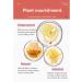 Natural Lip Plumper Enhancer & Care Serum | Transparent Gloss for Soft Hydrated Lips - Rosa+Type1 - Buy Online on GoSupps.com