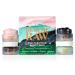 The Fab Four Bento Box 4-Piece Travel Skincare Kit (Brightener 0.5 oz) (Detoxifier 0.5 oz) (Hydrator 0.5 oz) (Clarifier)15 ml / 0.5 oz