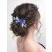 IYOU Bridal Wedding Hair Comb Crystal Blue Headpiece Rhinestone Hair Accessories Prom Bride Wedding Side Combs for Women - Buy Online on GoSupps.com