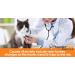 ThunderEase Cat Calming Pheromone Diffuser Refill | Reduce Scratching, Urine Spraying, Marking, Anxiety | 60 Day Supply - Buy Online on GoSupps.com