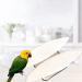 Rosavida 3 Piece Cuttlebone for Cockatiels, Birds, Reptiles, Turtles, Snails - Natural Polished Cuttlebone for Optimal Calcium & Mineral Supply - 5.5-6.5 Inch - Buy Online on GoSupps.com