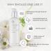 The Face Shop Whiteseed Brightening Toner - Hydrating Skin Brightening Treatment | Moisturizing Botanical Skincare for Improved Texture & Clarity - 5.4 Fl Oz - Buy Online on GoSupps.com