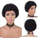 Short Afro Kinky Curly Human Hair Wig for Black Women - Pixie Cut, Natural Black Color - 100% Brazilian Virgin Hair - Buy Online on GoSupps.com