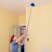 Cobweb Duster with Extension - Sturdy Extendable Spider Web Brush with Long - Spider Web Remover for Cleaning Ceiling Fan High Ceiling Blinds Furniture & Cars Siopob - Buy Online on GoSupps.com