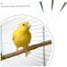 PopetPop 9-Piece Baby Probe Feeding Kit for Birds - Reusable Syringe & Hose Accessories for Easy Feeding | International Shipping - Buy Online on GoSupps.com