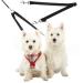 Double Dog Pet Lead Leash Splitter Coupler with Clip for Collar Harness - Black