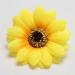 Sunflower Hair Clips 6PC Bridal Hair Pins & Accessories for Home & Travel | International Shipping - Buy Online on GoSupps.com