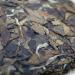 HELLOYOUNG 100g Th blanc chinois naturel biologique Th Pu'er au go t intense et aux ar mes riches et complexes Th pu-erh Pu'er Tea - Buy Online on GoSupps.com