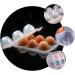 Uonlytech 1pc Box Outdoor Egg Carton Eggs Refrigerator Containers Outdoor Egg Container Take Egg Tray Orange 19.2X8.7X13.4CM - Buy Online on GoSupps.com