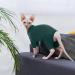 Hjyokuso Sphynx Cats Clothing | Soft & Breathable Cat Sweater for Sphynx Cornish Rex Devon Rex Peterbald | Warm Cat Wear with Four Legs - XL Green - Buy Online on GoSupps.com