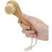 Manual Face Brush Portable Wooden Soft Bristles Cleansing Facial Brush for Facial Body Massage Cleaning Care - Buy Online on GoSupps.com