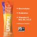Nuun Immunity3 Electrolyte Powder: Elderberry, Vitamins, Prebiotics, Zinc - 14 Pack - Buy Online on GoSupps.com