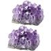 FOMIYES 4 Pcs Natural Crystal Cluster Crystal Ornament Rough Stone Purple Natural Minerals Multifunction - Buy Online on GoSupps.com