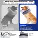2-in-1 Inflatable Dog Collar | Recovery & Protective Collar for Dogs - Small Size - Buy Online on GoSupps.com