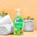 Softsoap Antibacterial Liquid Hand Soap - Gentle Clean Sparkling Pear Scent - 11.25 oz 6 Pack - Buy Online on GoSupps.com