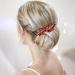Rhinestone Teeth Hair Comb Green Rhinestone Hair Accessories French Red Bun Chignon Bridal Hair Accessories Hair Side Comb Slides Clips Rhinestone Wedding for Women and Girls - Buy Online on GoSupps.com