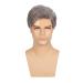 Swiking Men's Short Grey Synthetic Wig - Straight Natural Cosplay Hair for Daily Wear | Male Guy Full Replacement Wig - Buy Online on GoSupps.com