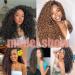 8 Packs GoGo Curl Crochet Hair 14 Inch for Black Women - Natural Black Synthetic Braiding Hair - Buy Online on GoSupps.com