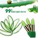 Aloe Vera Lipstick Set - Long Lasting, Moisturizing & Color Changing (3 Pcs) - Buy Online on GoSupps.com