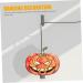 Uonlytech Signs Halloween Decorations Pumpkin Decoration Pumpkin Sign Hanging Pumpkin Decorate Hummingbird - Buy Online on GoSupps.com