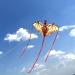 Dragon Kite for Kids & Adults - Easy-to-Fly Large Single Line Kite for Beach Trips - Buy Online on GoSupps.com