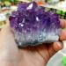 Amethyst Natural Rock Quartz Amethyst Cluster Druzy Geode Specimen(Quantity Choice : 5Pcs Size Choice : 30-40g) ningxiao (Color : 10-20g Size : 10Pcs) 10Pcs 10-20g - Buy Online on GoSupps.com