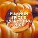 Air Wick Pumpkin Spice Twin Refill | 2 x 19ml | Infused with Natural Essential Oils | Electrical Plug-in | Pack of 1 - Buy Online on GoSupps.com