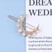 Allereya Crystal Pearl Moon Hair Clip Barrette Rhinestone Pearl Hairpin Barrette Gold CZ Crescent Moon Head Clip Headpieces Meniscus Pearl Hair Accessories for Women Girls (Gold) - Buy Online on GoSupps.com