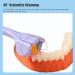 3-Sided Toothbrush for Autism - V-Shaped Soft Bristles Non-Slip 3-Piece Set in Purple - Buy Online on GoSupps.com