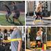 Buy Joint Forces Premium Exercise Bands - Durable Portable Fitness for Strength Progression | International Shipping Available - Buy Online on GoSupps.com