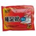 Ioiuskku 20 pieces of foot warmers for one -time use breathable thermal winter autumn replacement household office body warm sticker patch