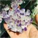 Natural Ingredients Natural Crystal Cluster Amethyst Specimen Ore Purple Quartz Reiki Stone Raw Crystal Home Decor FUZEGRDLI (Size : 300-400g) - Buy Online on GoSupps.com