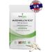 Bodygenix Marshmallow Root 500mg Capsules - Respiratory Support for COUGHS and IBS - 30ct, 1 Month Supply - Buy Online on GoSupps.com