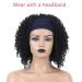 Fancy Afro Kinky Wig - Short Curly Heat Resistant Half Wig for Women - Synthetic Party Cosplay Hairpiece - Buy Online on GoSupps.com