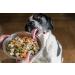 Top Shelf Dog Chicken Dinner Meal - All Natural Human Grade Food Topper for Picky Eaters - Nutrient Packed for Healthy Breeds - 8oz (Pack of 7) - Buy Online on GoSupps.com
