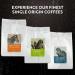 Coffees of the World Gift Set - 6 Finest Single Origin Coffee Beans | 600g Whole Roasted Beans in Hamper for Him & Her - Buy Online on GoSupps.com