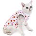 Komate Cat Surgical Recovery Suit for Abdominal Wounds, Skin Diseases - L Strawberry - Buy Online on GoSupps.com